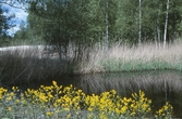 Vattenparken vid Oset, 1997