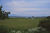 Rävgången, 1999