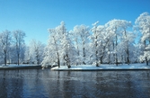 Slottsparken i vinterskrud, 1982