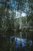 Vattenparken, 1997