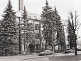 Gamla Skandia skofabrik bakom höga träd, 1980-tal