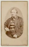 Mansporträtt, ca 1870
