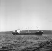 Fartyget Frigg på Älven