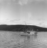 Fartyget Kusttrafik på Älven

