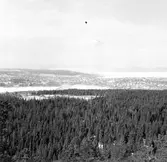 Utsikt från Vårdkasberget