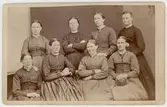 En grupp med kvinnor, ca 1890