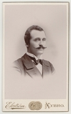 Mansporträtt, efter 1894