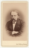 Mansporträtt, efter 1879