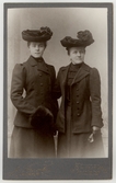 Kvinnor i hatt, efter 1893