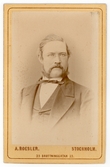 Mansporträtt, efter 1878