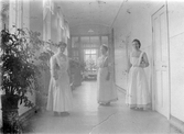 Tre sjuksystrar, 1930-tal