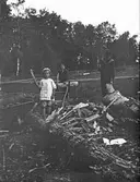 Vedhuggning vid Skagersholm, 1915