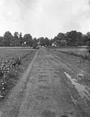 Vy vid Skagersholm, 1915