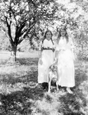 Kvinnor med hund, 1915