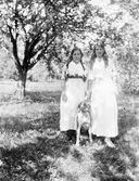 Kvinnor med hund, 1915