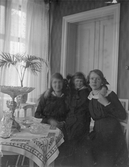 Familj i sittgrupp, 1920-tal