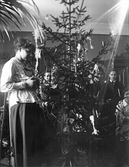 Julgranen kläs, 1915-1920