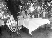 Grupp vid kaffebord i trädgården, 1918