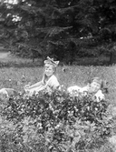 Flickor i gräset, 1918-1919