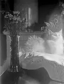 Blomvas och katt, 1921