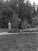 Kvinnor i trädgård, 1930