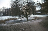Dammen vid Hagabrohus, 1959