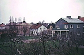 Villor i skomakarstan, 1960-tal