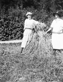 Två kvinnor på åkern, 1930-tal