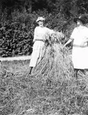 Två kvinnor på åkern, 1930-tal