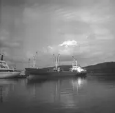 Fartyget Elin S vid kaj