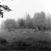 Gravanläggning. Jordblandat röse som skall undersökas och borttagas för ny sträckning av riksväg 14.