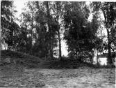 Gravfältet vid Holm hög nr 15, från V. Före utgrävningen.