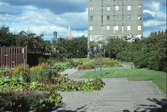 Trädgården på Krämaren, 1991