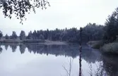Sjö vid Kvarntorp, 1989