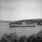 Fartyget Cyclades på Älven