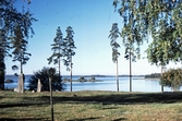 Fornminnesområde i Skävesund, 1985