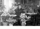 Fru Andersson fotograferad i hemmet, sannolikt firande sin födelsedag då hon är omgiven av blomsteruppsättningar och buketter.