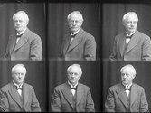 Mansporträtt. Sex olika foton av banktjänsteman Johnsson.