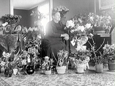 Fru Andersson fotograferad i hemmet, sannolikt firande sin födelsedag då hon är omgiven av blomsteruppsättningar. (Se även bildnr MR2_390, MR2_399)
