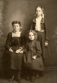 Systrarna Schelin i Brainerd, Minnesota,1906