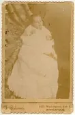 Barnporträtt från Minneapolis, 1891
