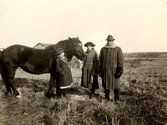 Grupp med häst på åker i USA, 1910-tal