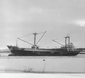 Fartyget Iris på Älven

