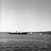 Fartyget Tudor på Älven

