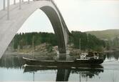 Fartyget Borguld vid Sandöbron