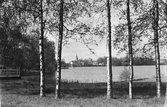 Motiv från Torup av späda björkar framför en sjö och i fonden kyrkan och samhället. Fotografi stämplat 