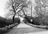 Vägen till färjeläget på Vinön, 1950