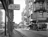 Näbbhuset, 1950-tal