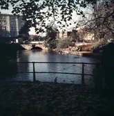 Vy mot väster från Strömparterren, 1950-tal