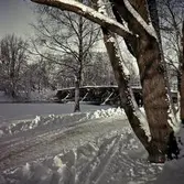 Gamla Hagabron, 1950